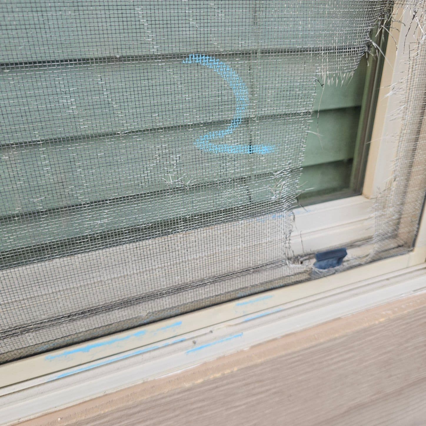 Project Comprehensive Window Replacement with Insurance Support image