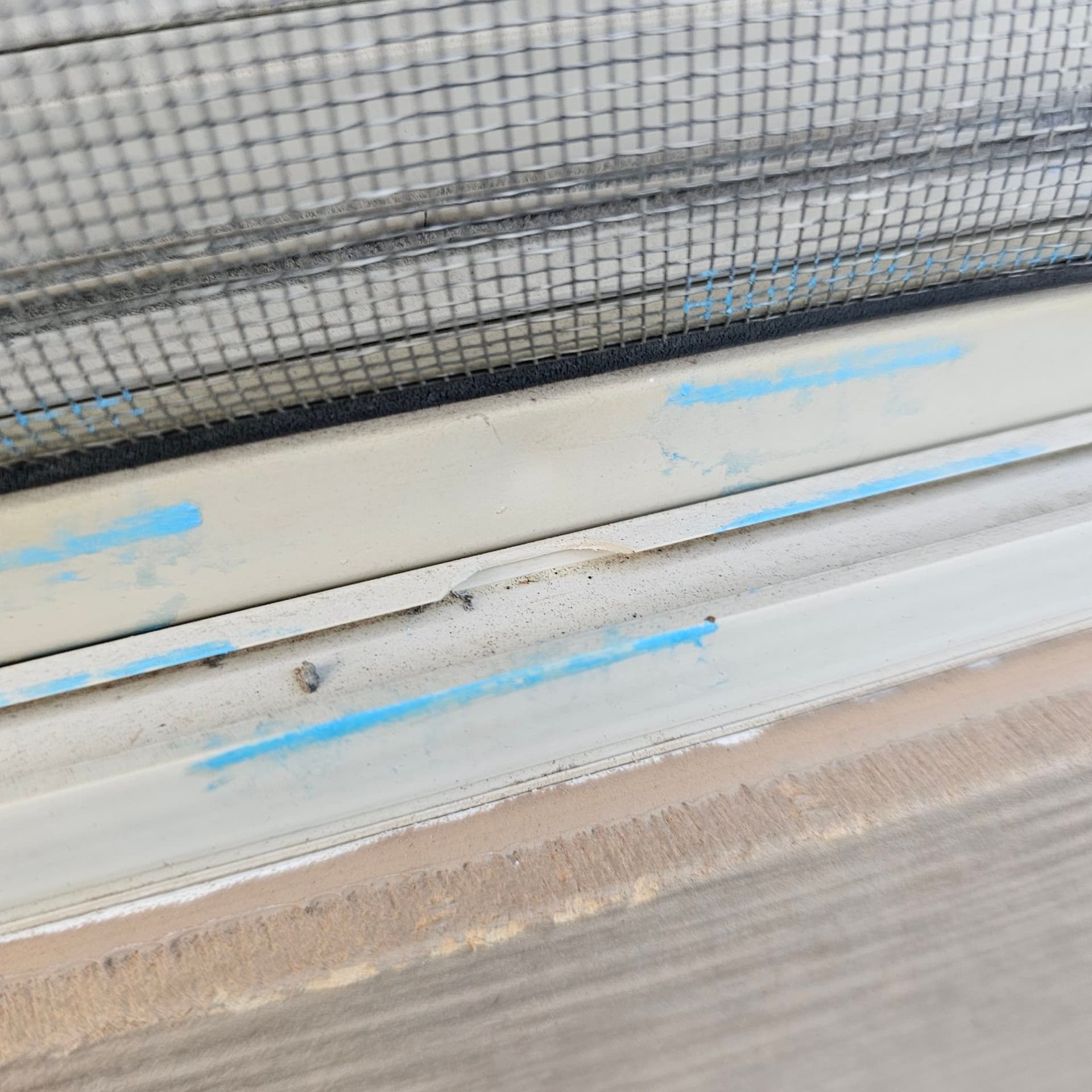 Gallery photos for Comprehensive Window Replacement with Insurance Support: Image #1