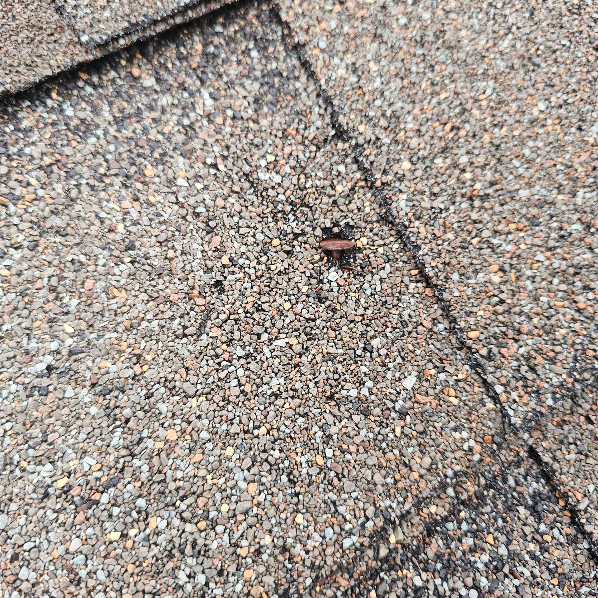 Catch Problems Early with Regular Roof Checks image