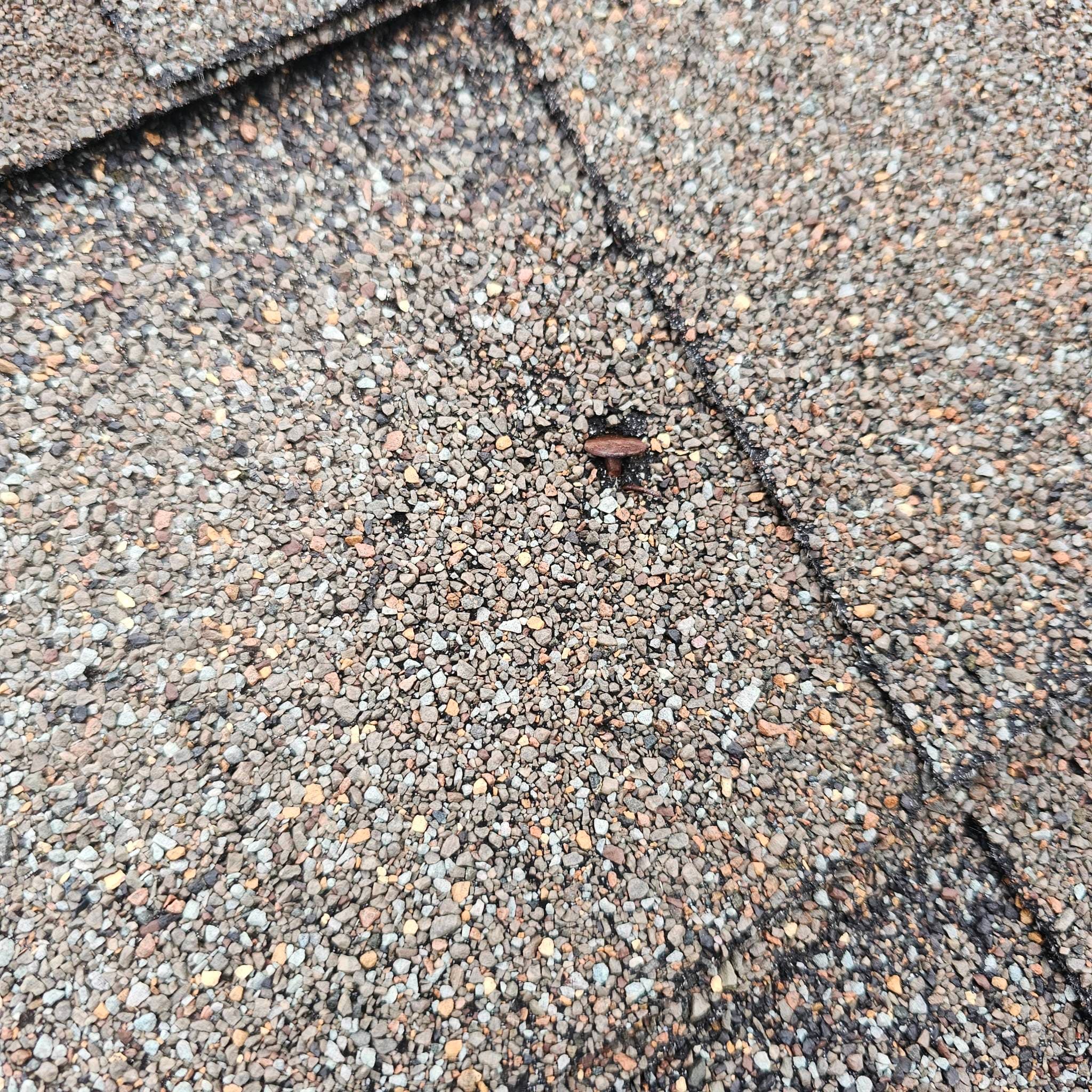 Project Catch Problems Early with Regular Roof Checks image