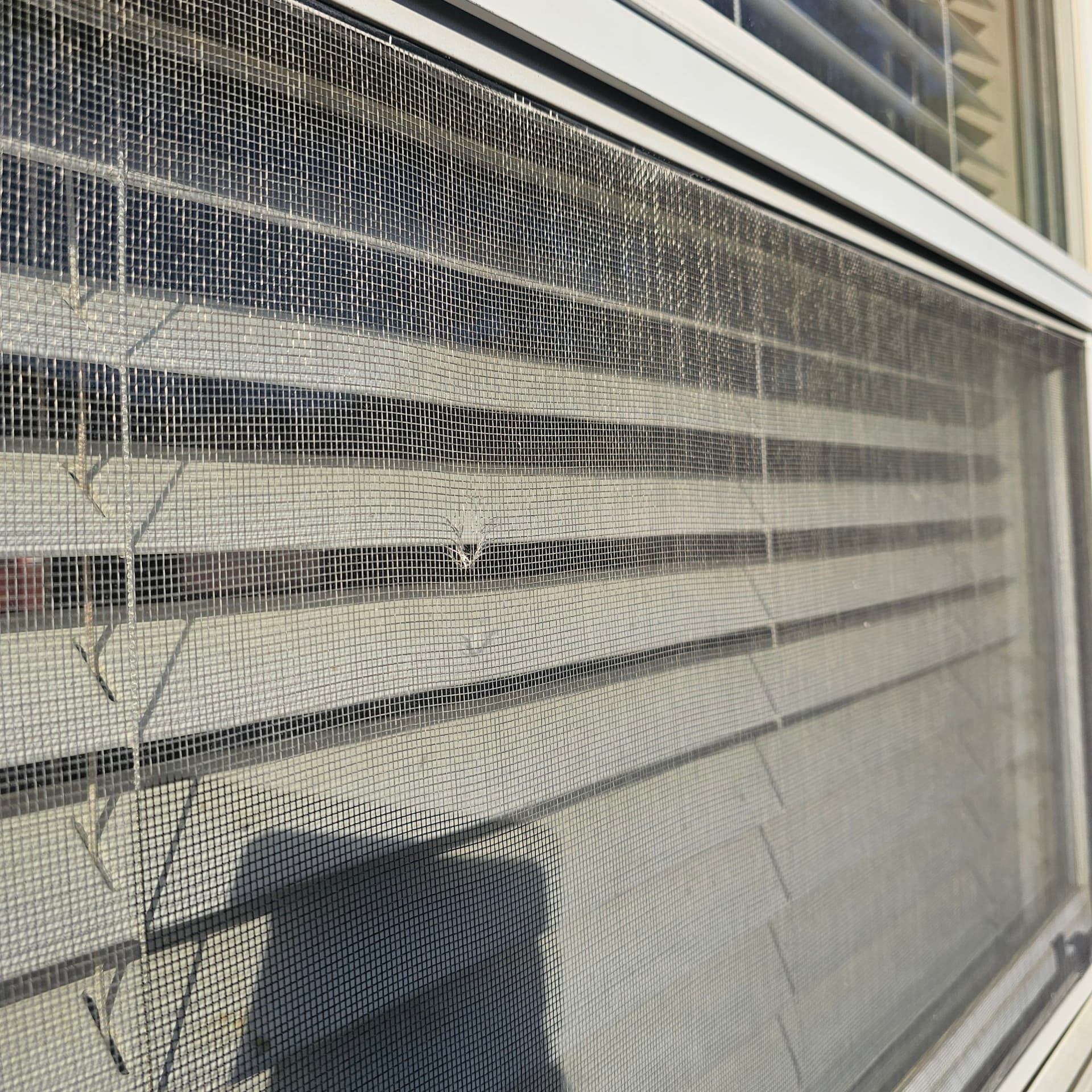 Detecting Home Damage Early Saves Time and Money image