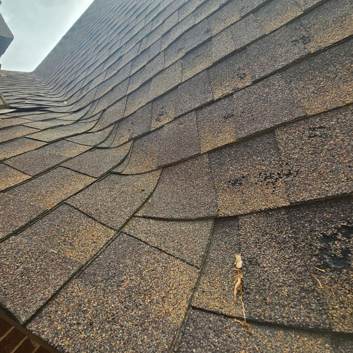 Identify Hidden Roof Damage Before It Costs Big