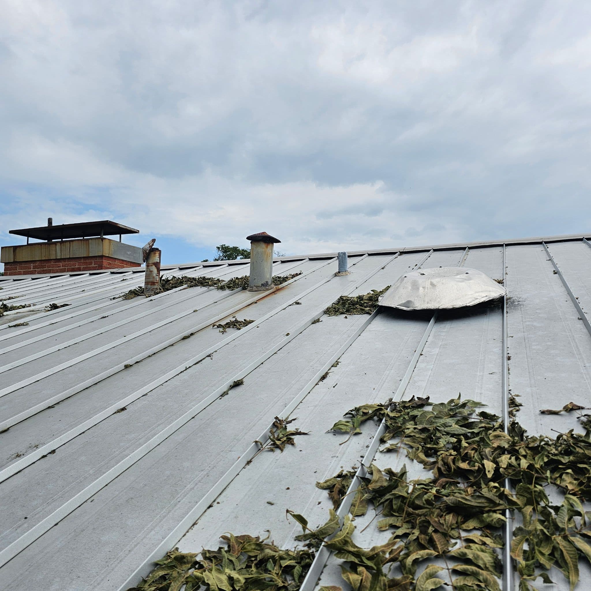 Project Effective Solutions for Metal Roof Hail Damage image