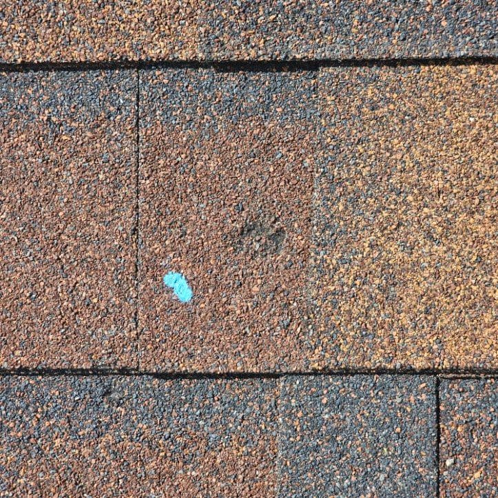 Hidden Roof Damage Inspection Expertise image