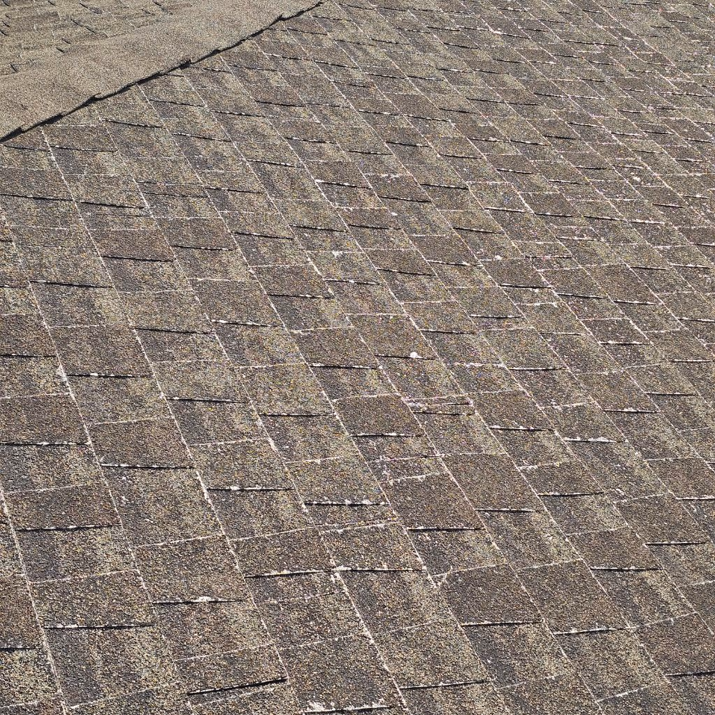 surge_media_1758310068397_S8mQUNL_7